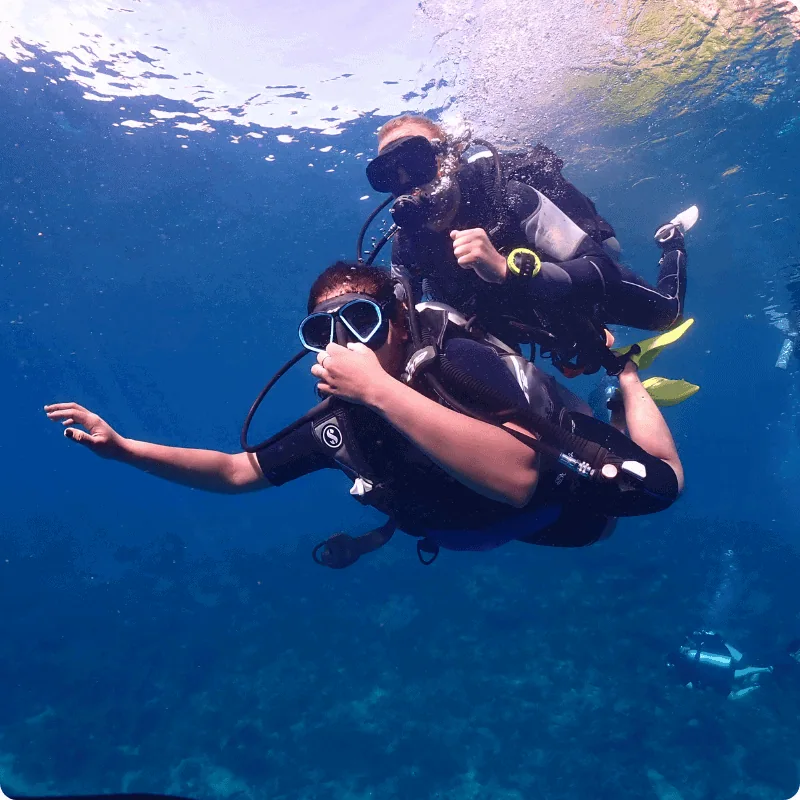 TRY DIVE