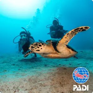 PADI OPEN WATER DIVER COURSE