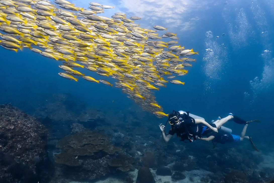 Fun Dive