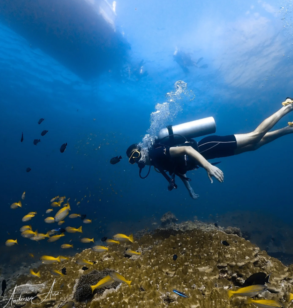 OPEN WATER COURSE