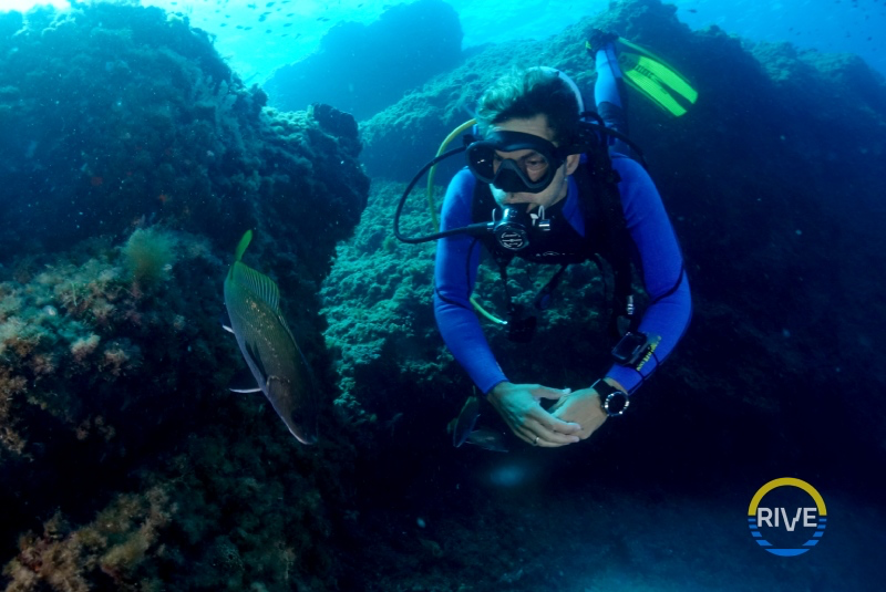 1 Fun Dive