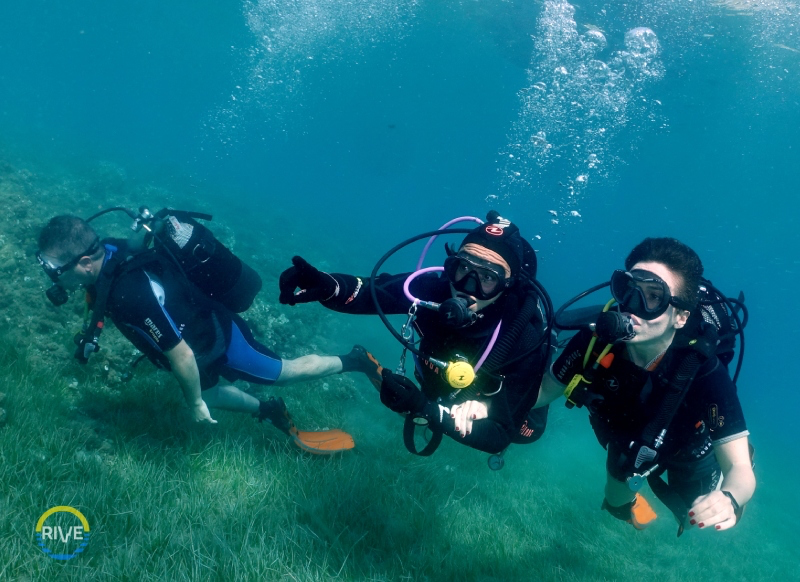 BAUTISMO BUCEO
