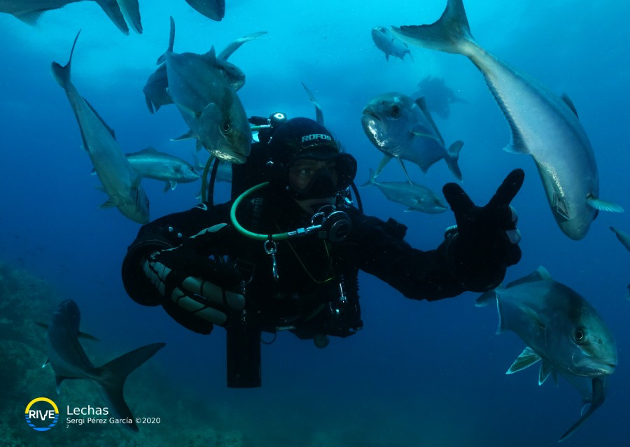 Open Water Diver