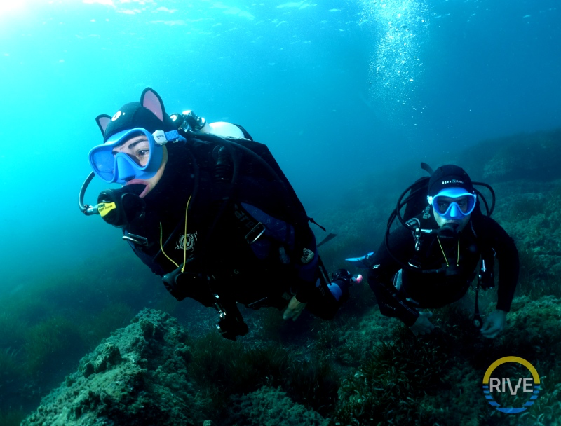 BASIC DIVER