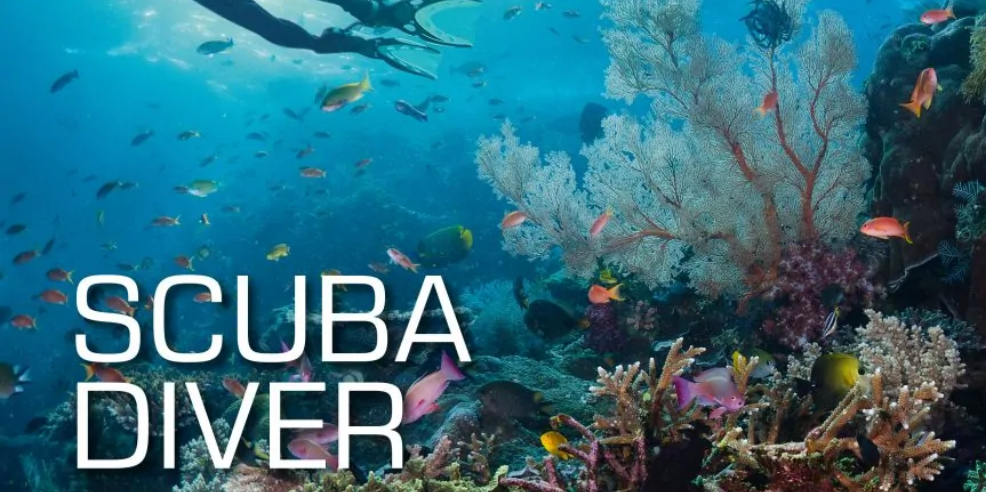 Scuba Diver