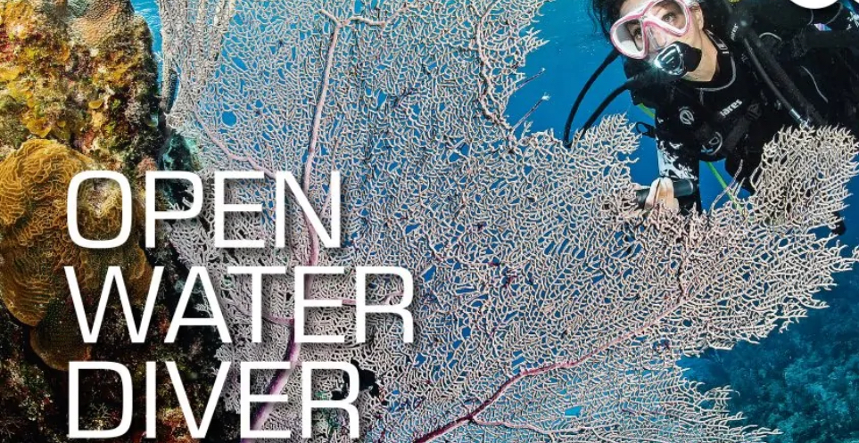 SSI Open Water Diver