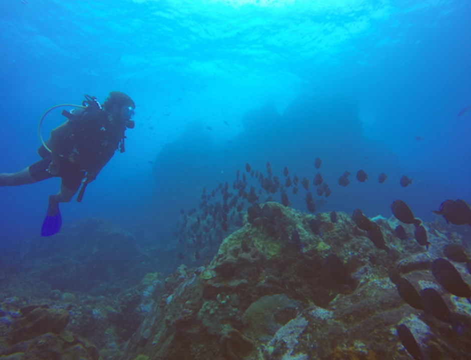 SCUBA DIVER