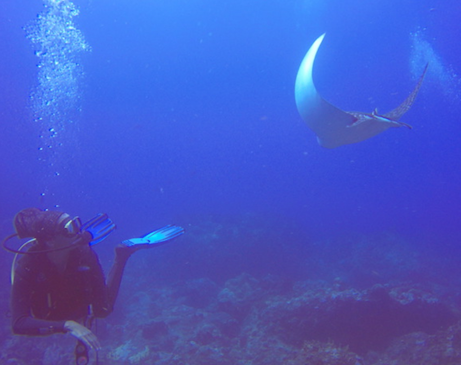 CERTIFIED DIVERS