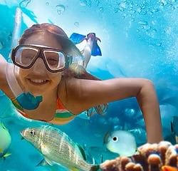 Discover snorkeling