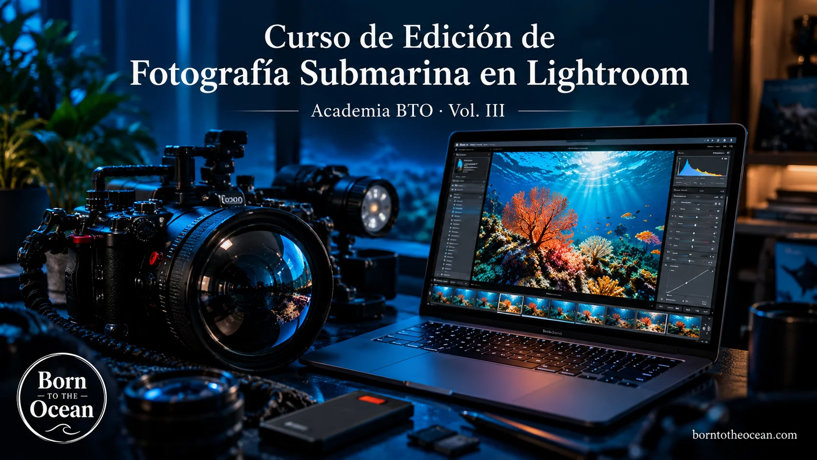 Curso de Edición de Fotografía y Vídeo Submarino en Lightroom