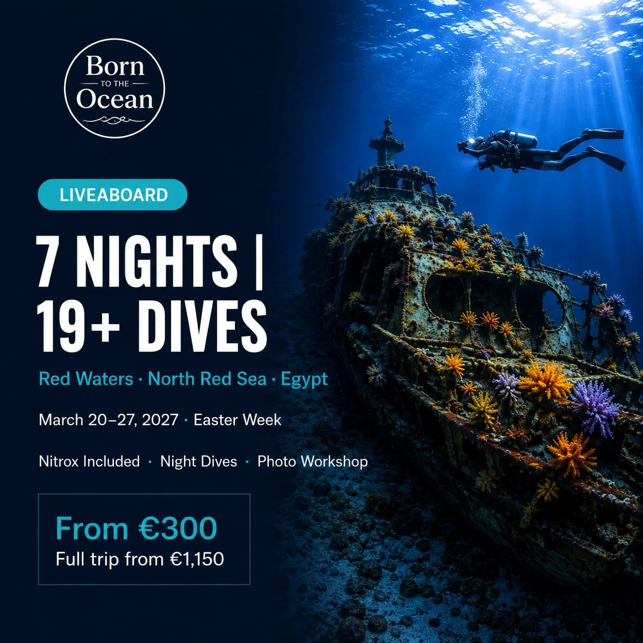 Mar Rojo Norte "Red Waters" – Expedición de Buceo
