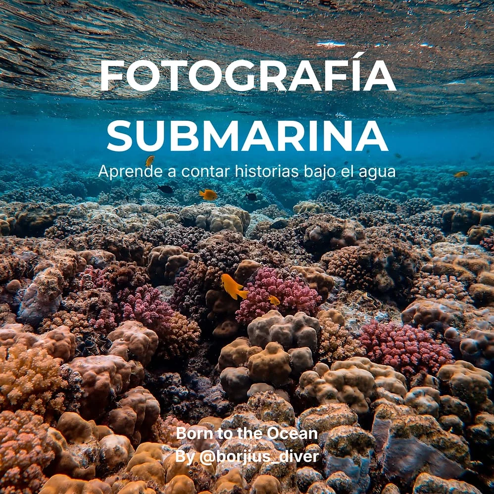 Curso Online Fotografía Submarina Vol:I - Nivel Inicial