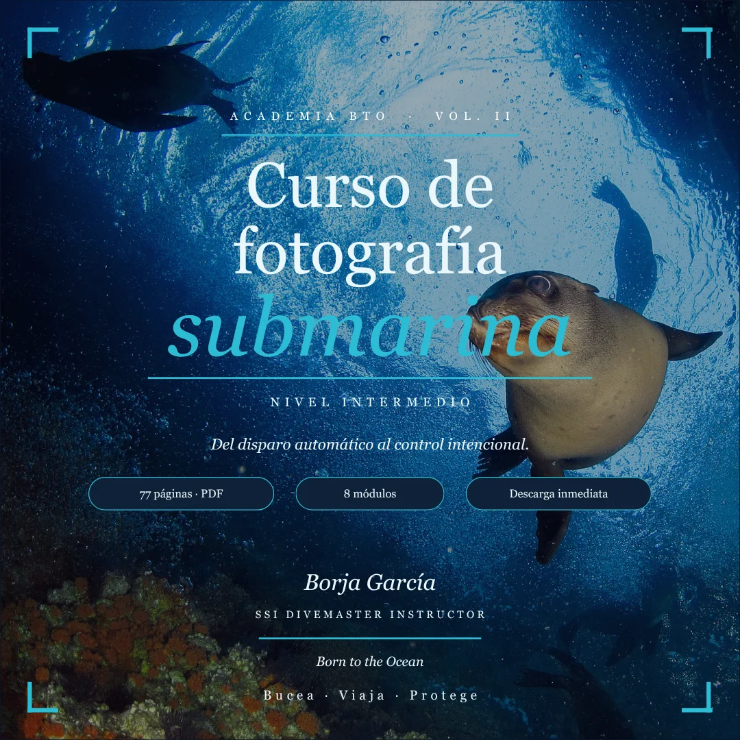 Curso online de fotografía submarina Vol: II - Nivel Intermedio