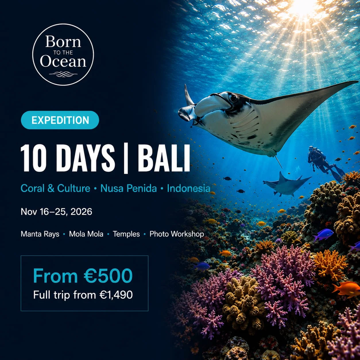 Bali "Coral & Culture" – Expedición de Buceo