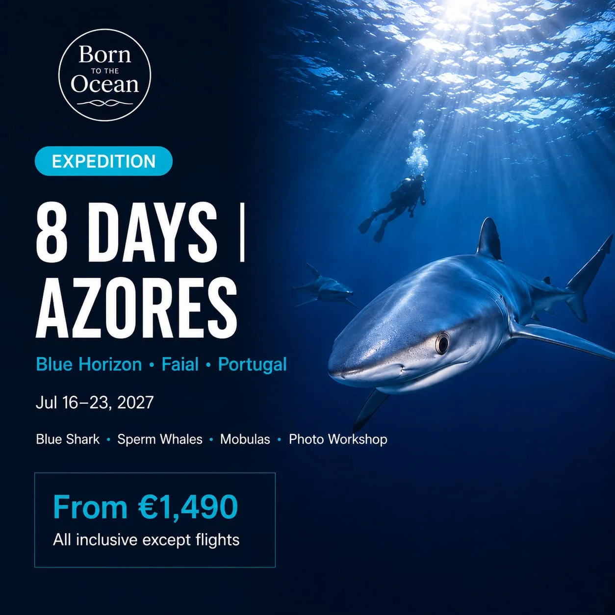 Azores "Blue Horizon" – Expedición de Buceo