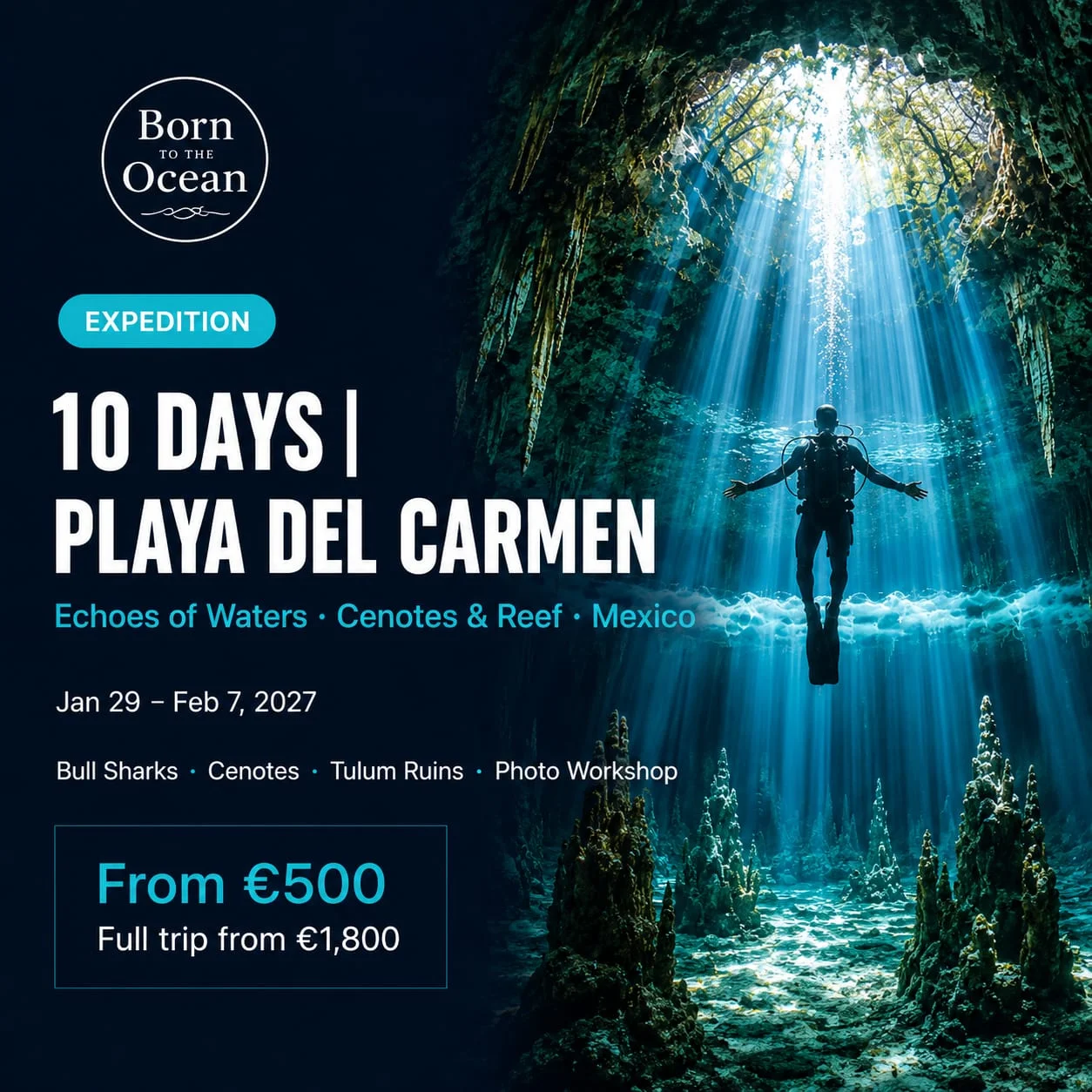 Playa del Carmen "Echoes of Waters" – Expedición de Buceo