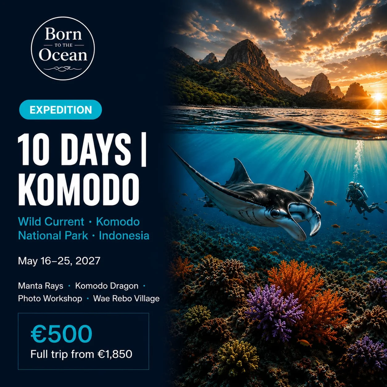 Komodo "Wild Current" – Expedición de Buceo