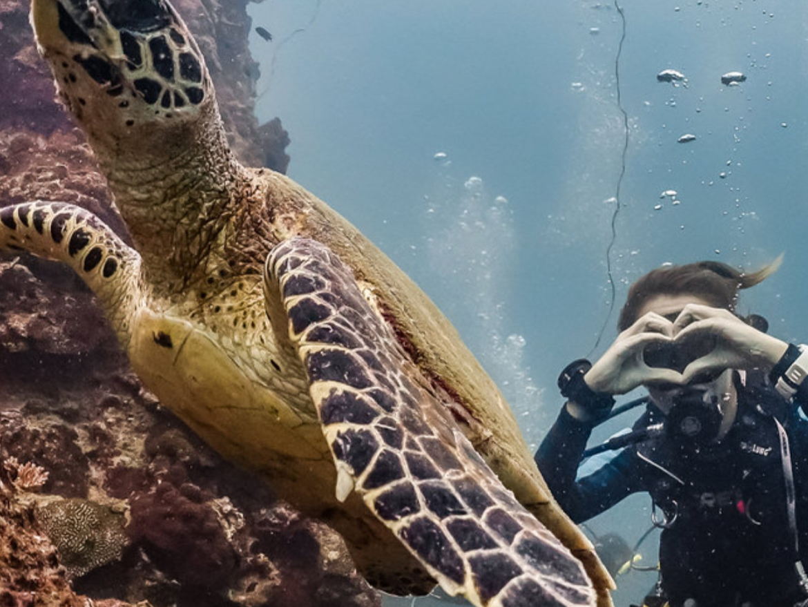 Fun Diving