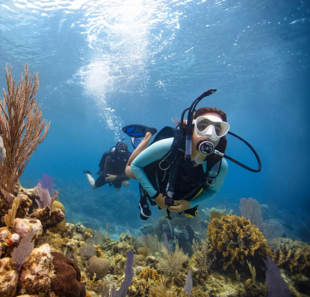 Open Water Diver