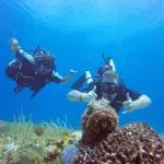 Excursión a Cozumel – Viaje de 2 Tanques