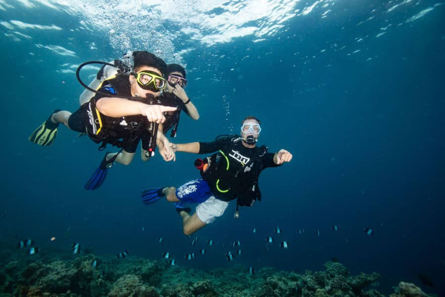 DISCOVER SCUBA DIVING – 1 OCEAN DIVE