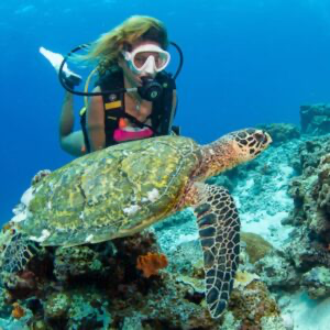OPEN WATER COURSE